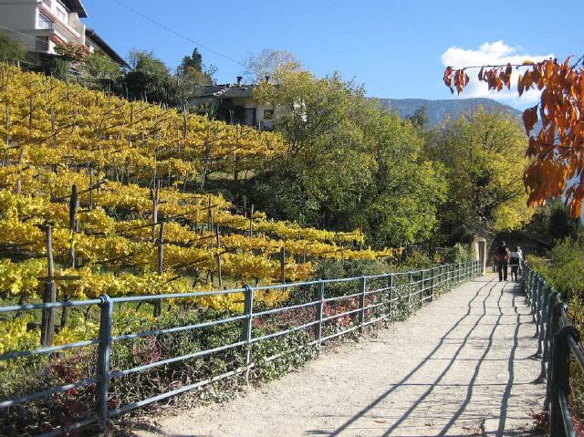 Meran - Südtirol