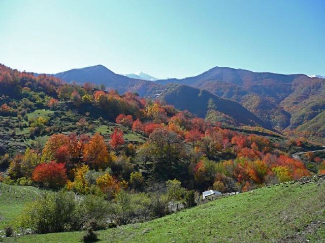 Abruzzen - Nationalpark