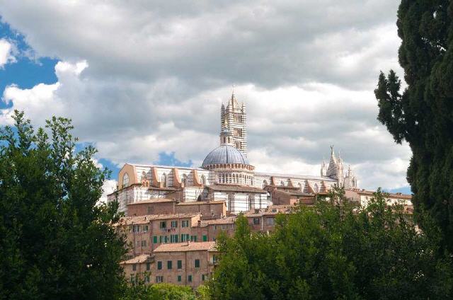 Siena - Dom