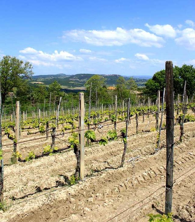 Montepulciano - Region Toskana