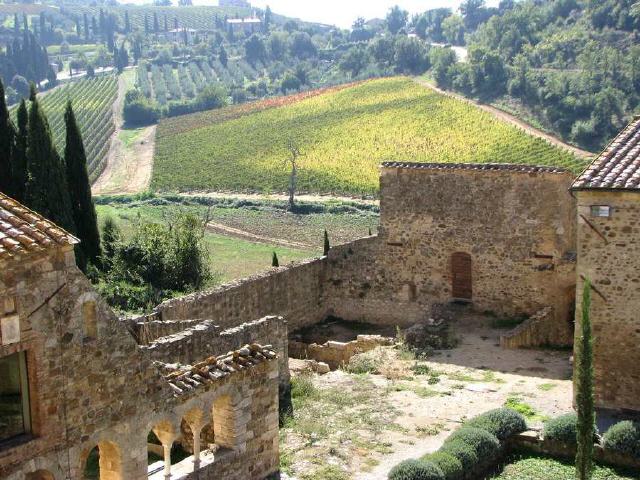 Montalcino - Region Toskana