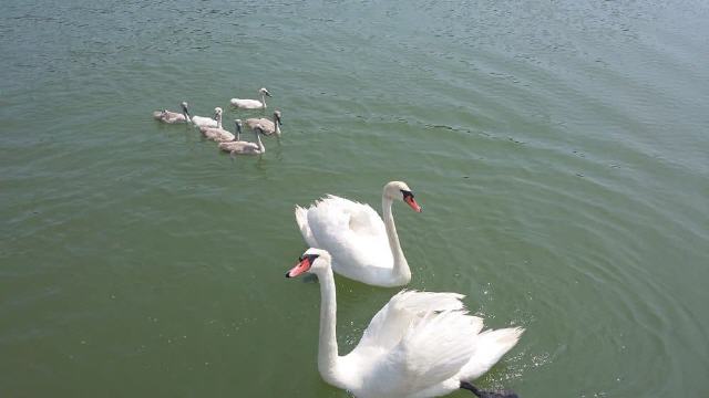 Bibione - Lagune