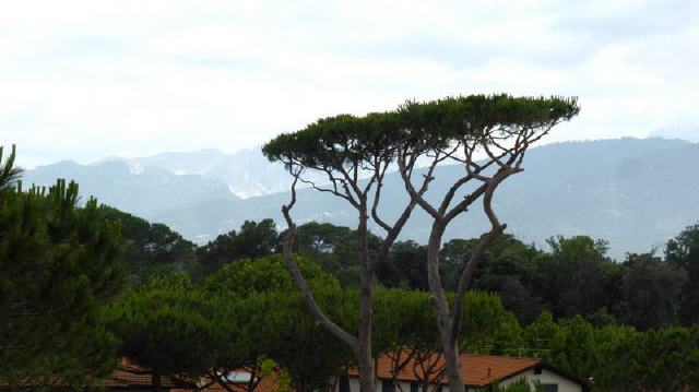 Pietrasanta